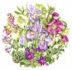 Vysvetlivky Druhy rastlín uvedené v tejto publikácii sú usporiadané podľa farby kvetov, pričom vo voľnej prírode sa môžu vyskytovať aj v iných odtieňoch.