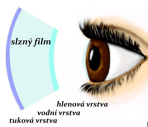 Obrázek 2: Slzný film [24] 2.1.1 Složení slzného filmu Slzný film je složen ze tří vrstev: mukózní (mucinová, hlenová) vrstva - leží přímo na povrchu oka.