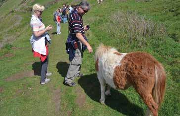 den dopoledne výuka národní park Dartmoor, kde se kdysi proháněl pes baskervillský, zdoláme skalní věž Heytor a den zakončíme v typické vesničce Widecombe in the Moor s nádherným kostelíkem. 5.