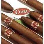 Cuaba Výroba Cuáb sa začala na jeseň roku 1996 - je to jeden z najnovších trendov v kubánskej výrobe cigár. Vyrába ju manufaktúra Romeo y Julieta v Havane.
