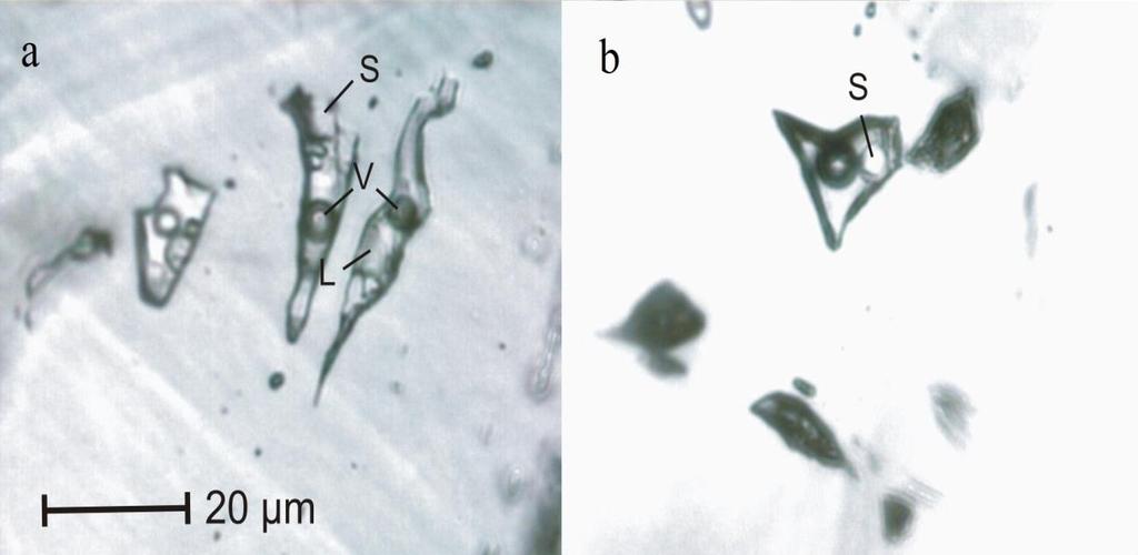 složení těchto fluidních inkluzí je výhradně L+V (plynná fáze zaujímá objem až do 40 %). Velikost sekundárních inkluzí se pohybuje okolo 5 µm. Obr.