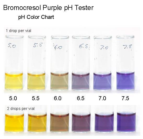 cb=1417424219 Chemické sloučeniny měnící barvu dle ph http://mslavenda.