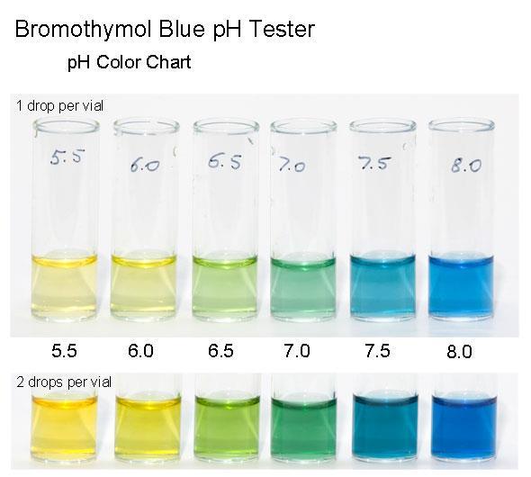 edu/tiger/diagrams/acid-base/weakacidtitration- General.