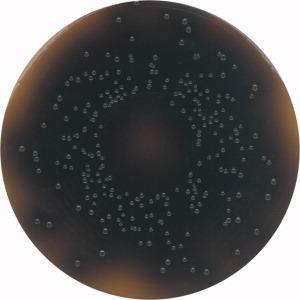 L. monocytogenes - Oxford agar Oxford agar složení báze g/l agar-agar 13.0 Pepton 23.0 škrob 1.0 méně výživný agar NaCl 5.0 Chlorid lithný 10.