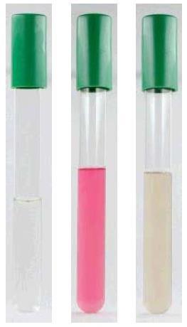 Biochemická konfirmace Salmonella spp.