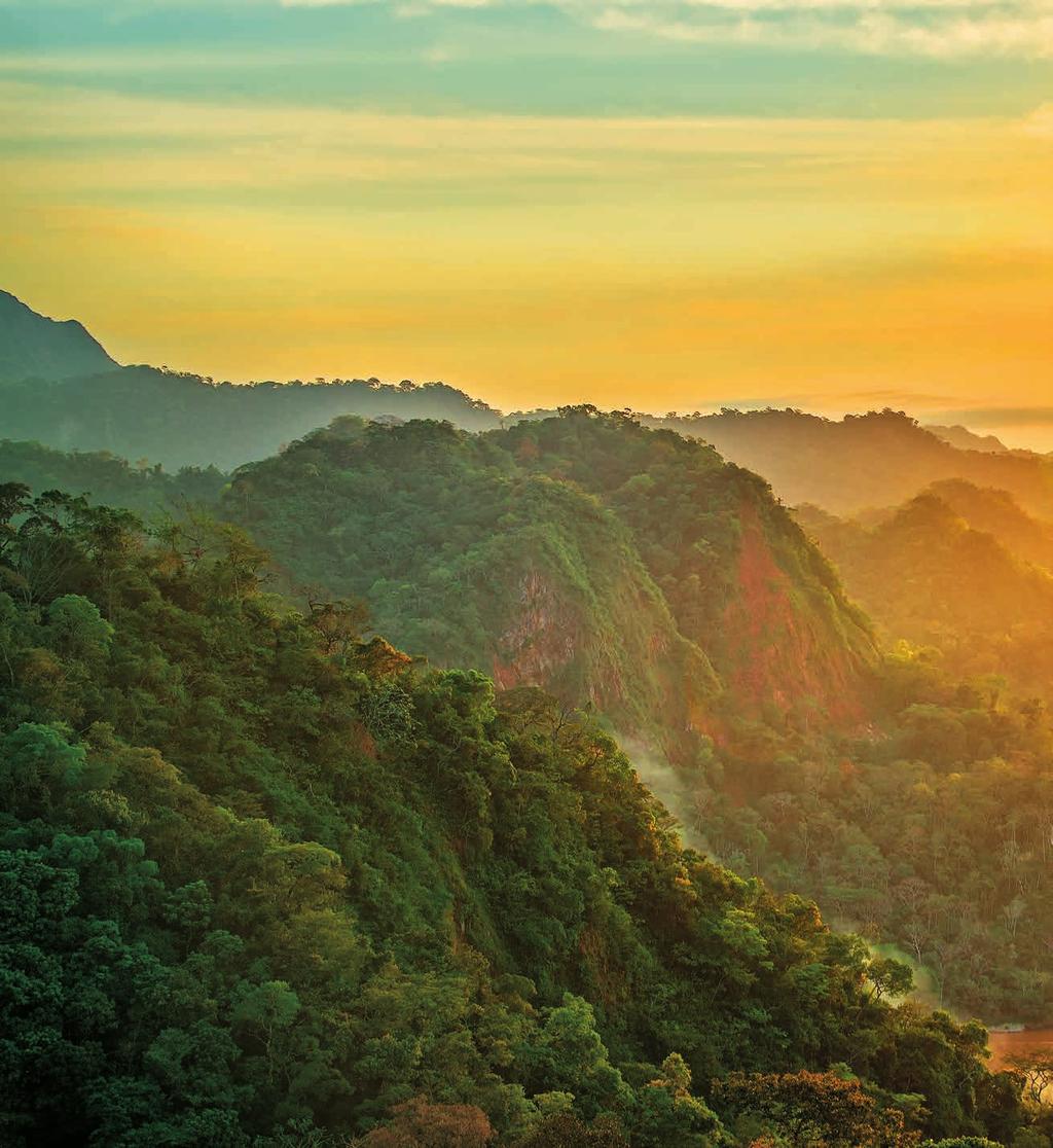 Organic Sacha Inchi Amazonie je svět sám v sobě. Nejrozmanitější a z přírodního hlediska nejbohatší oblast na celé naší planetě.