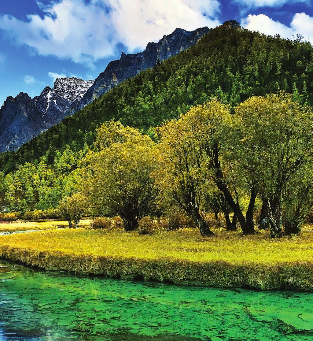 Organic Sea Berry Představte si úrodné tibetské údolí plné čisté energie a netknuté přírody.