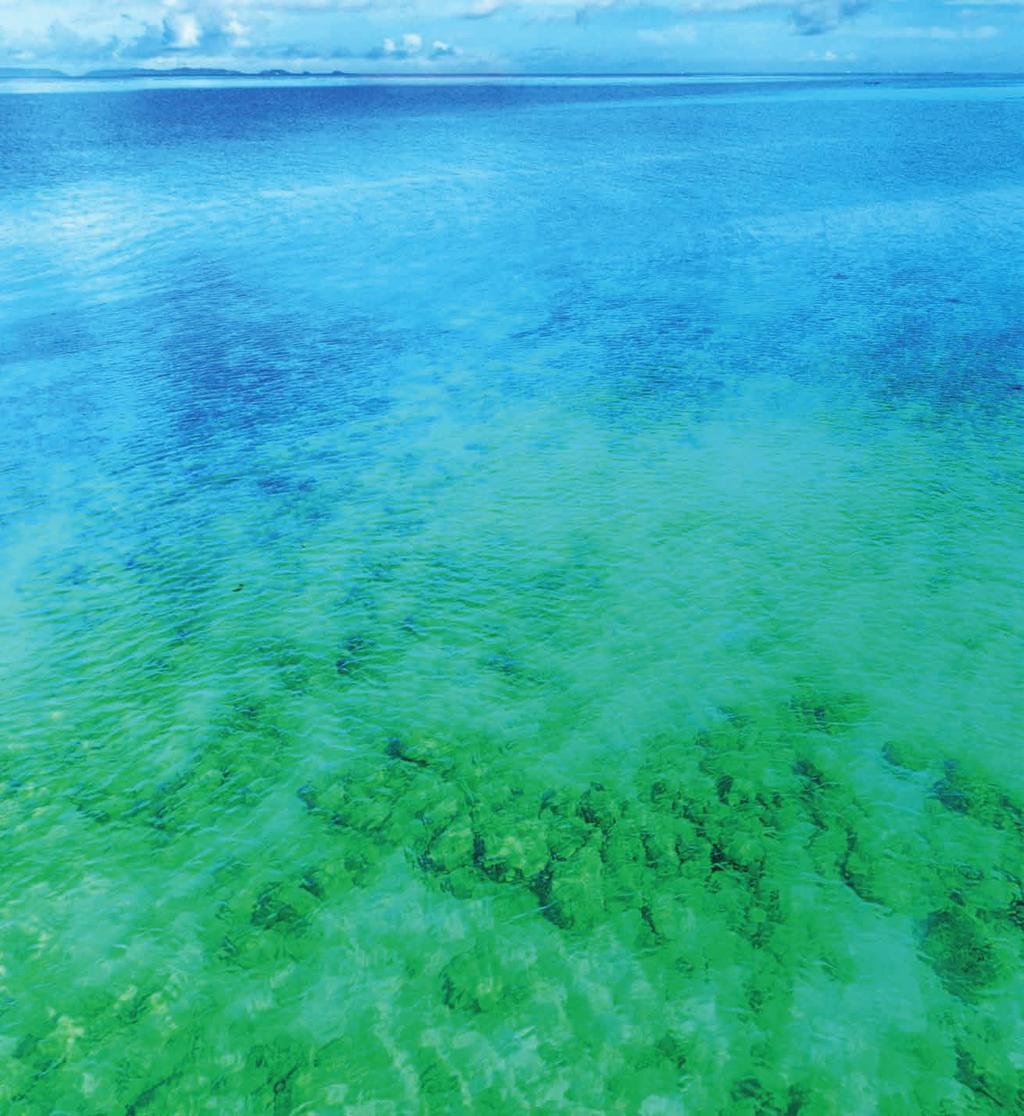 Hawaii Spirulina V čisté mořské vodě, uprostřed panenské přírody Havajských ostrovů, získáváme tu nejlepší spirulinu na světě.