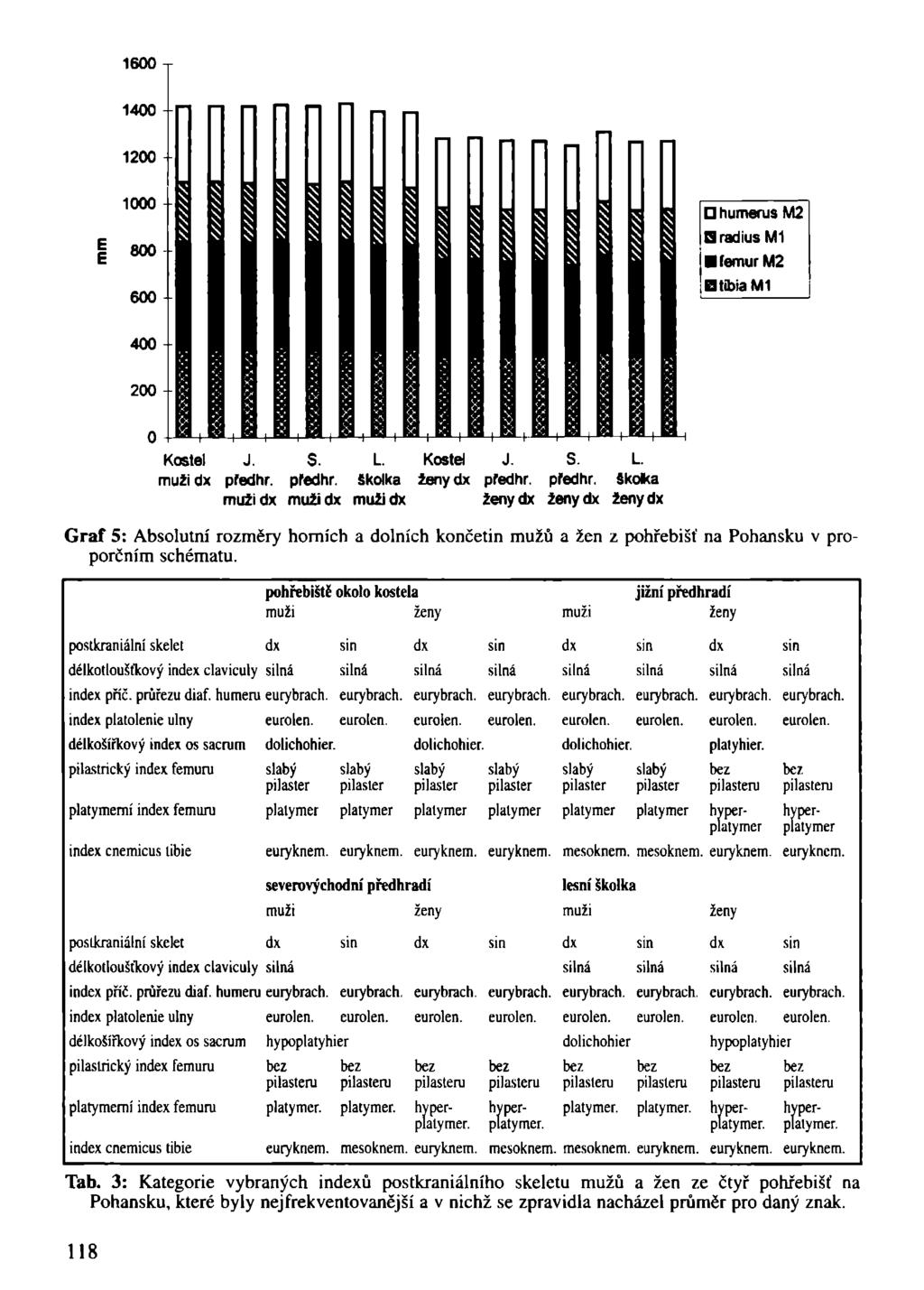 1600 1400 1200 1000 800 600 "Il humerus M2 IQ radius M1 JB(emurM2 DtibiaMI 400 200 Kostel J. S. L. mužidx pfedhr.