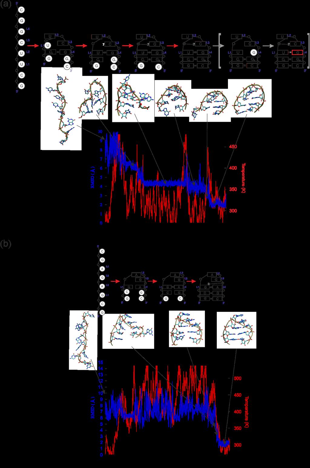 Vyhodnocení simulace RMSD (root-mean-square deviation)