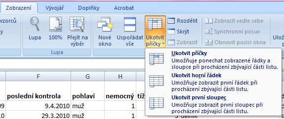 Ukotvení příček Umožňuje ukotvení libovolných řádků a sloupců pro pohodlné vkládání a prohlížení dat v tabulce. Umožňuje číst řádky/sloupce ze začátku tabulky i po přesunutí se dále.