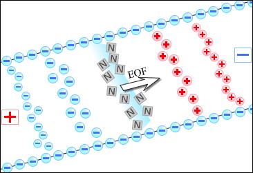 ELEKTROOSMOTICKÝ TOK (EOF) v E EOF EOF v EOF - rychlost µ