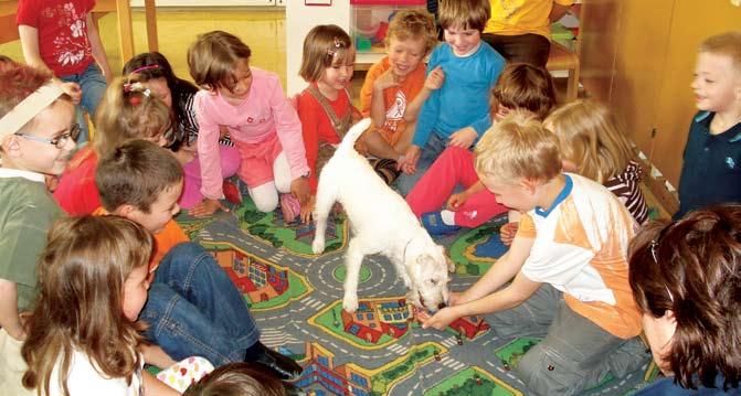 Vsebinska predstavitev: V vrtcu Mojca, enoti Kekec, smo se v šolskem letu 2006/07 vključili v projekt Živali in mi kužki v našem okolju.