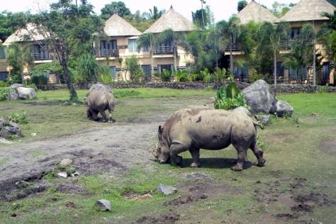 park ( Gianyar) Sloní park se nachází přibližně 30 minut severně od Ubudu.