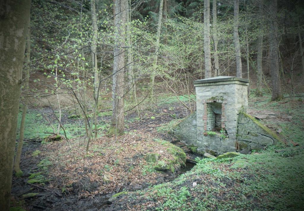 4. info panel chráněný dub Nad lomem v lese se nachází památkově chráněný dub, ke kterému by chodník stezky vedl. Zde by byla umístěna také lavička. 5.