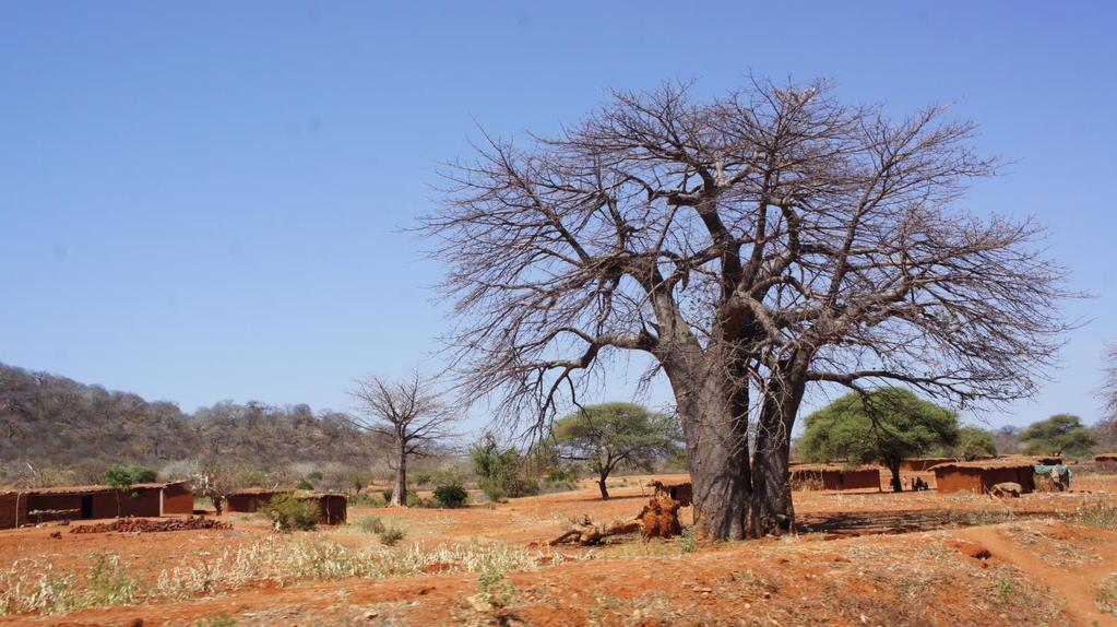 Presun do mesta Morogoro (nocľah). Obr. 1 Obraz tanzánskeho mesta Morogoro 3.