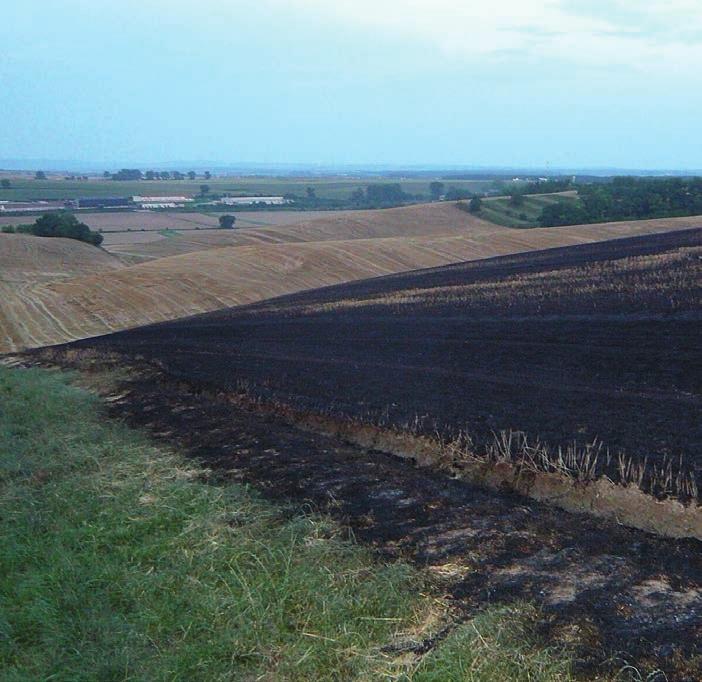 TÉMA: PŮDA A ZÁSOBY UHLÍKU Zjištěno porušení. Neodstranitelné porušení. Ne. www.eagri.cz (Portál farmáře, LPIS), Státního zemědělského intervenčního fondu www.szif.