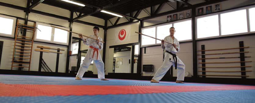 Predstavujeme klub SEIWA Bratislava Račiansky strapec 2012 Karate klub SEIWA Karate klub bol založený v roku 1989.