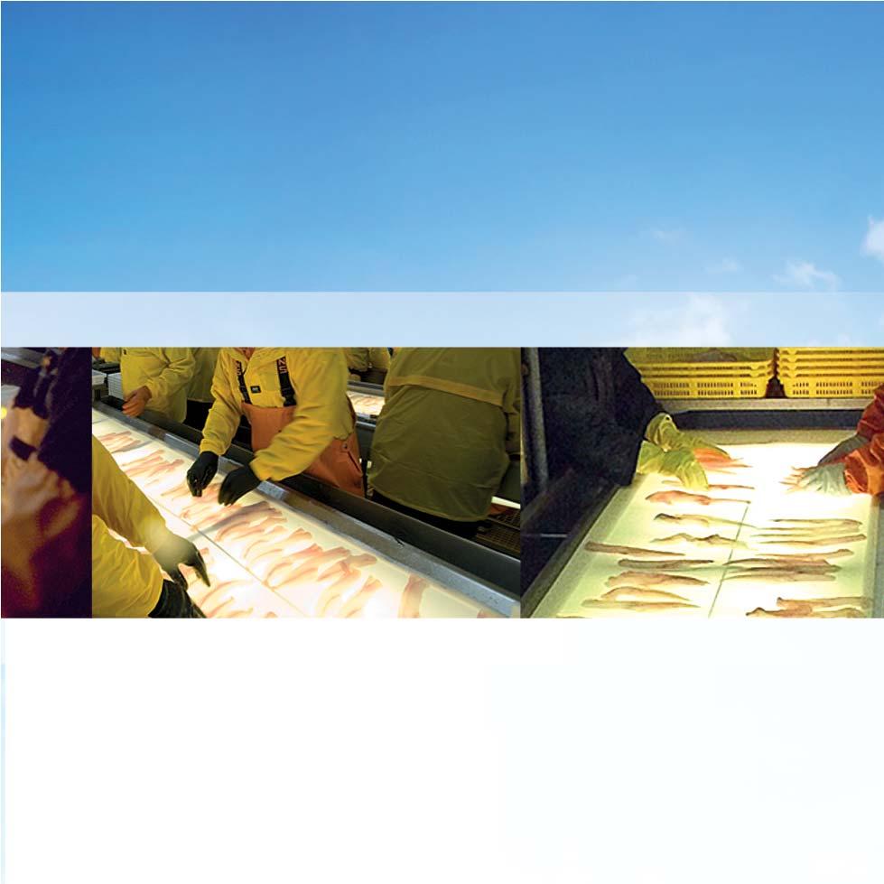 Skvělé rybí maso zamrazené přímo na moři zpracováno přímo na lodi bez přidané