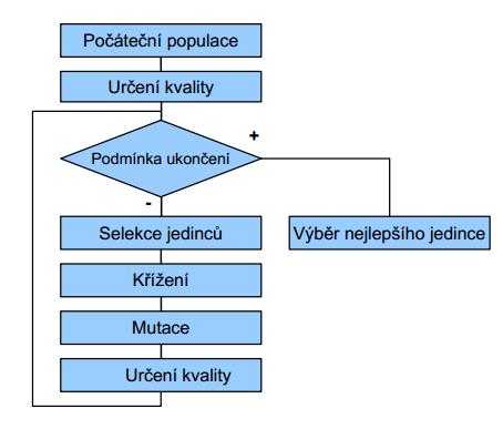 2.4.1 Schéma genetických algoritmů Obrázek č. 8: Diagram principu genetických algoritmů [20] Počáteční populace Podle obrázku číslo 7 si můžeme představit, jak genetický algoritmus funguje.