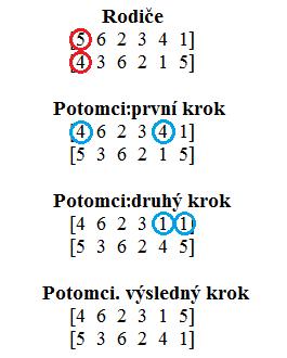 Obrázek č. 14: Ukázka cyklického křížení [bylo vytvořeno] Hladové křížení (greedy crossover) Hladové křížení se liší od normálního tím, že využívá vzdálenosti mezi sousedními jedinci.