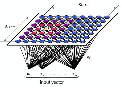 Obrázek 3.1: Architektura samoorganizující mapy ve zvolené metrice nejmenší. Váhový vektor zvoleného neuronu je následně upraven tak, aby se nacházel ještě blíž předkládanému neuronu (3.1).