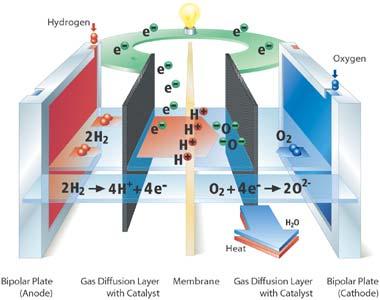 Palivový článek Anoda: Membrána Katoda: 2 H 2 + 4 H + + 4 e Nafion O 2