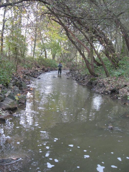 EVL Zákolanský potok - poškozený ekologický stav - středně modifikovaný hydromorfologický stav - žádný rak - ve vodě nesplňují limity anthracen, benzo-apyren, BSK5, bisfenol A, dimethachlor,