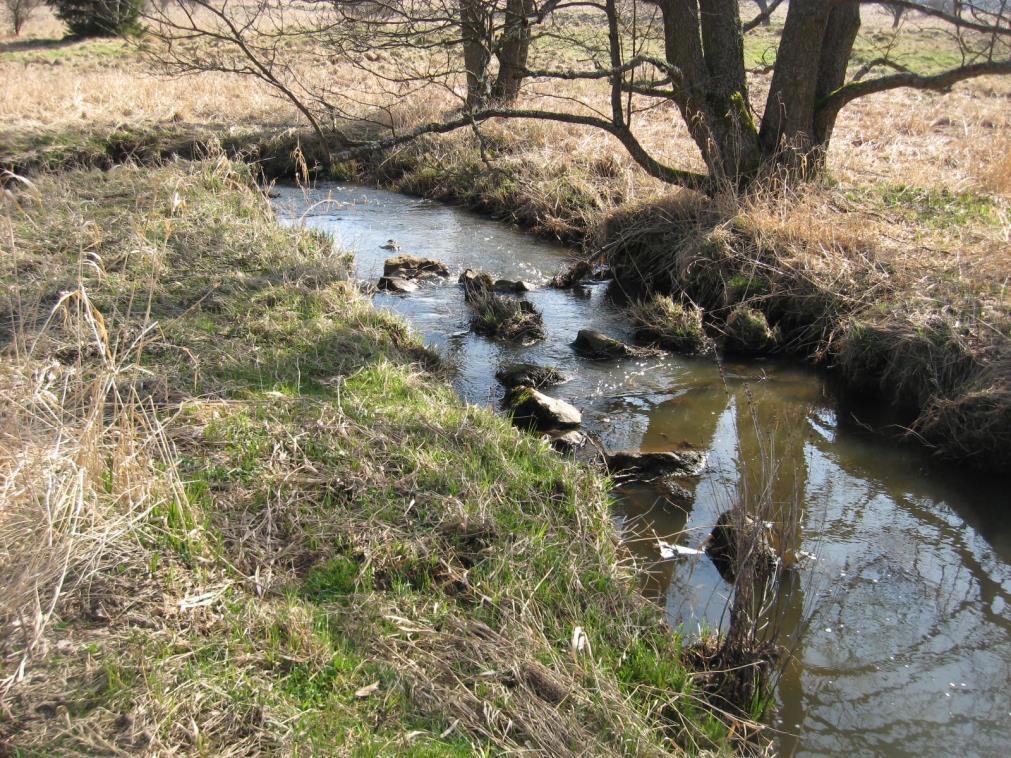 EVL Padrťsko -střední ekologický stav (na hranici poškozeného) - slabě modifikovaný hydromorfologický stav - 5 raků říčních na sto kamenů - rybník v povodí (900 m) - ve vodě neplňují limity arsen,