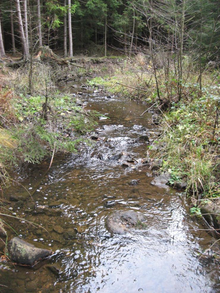 EVL Ledný potok - dobrý ekologický stav - přírodě blízký hydromorfologický stav