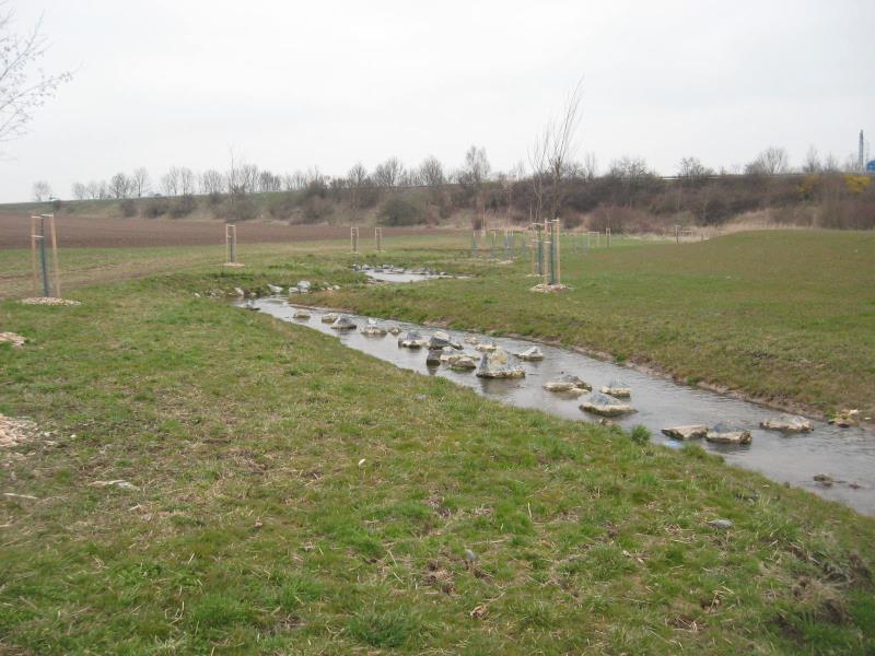 EVL Zákolanský potok - poškozený ekologický stav - středně modifikovaný hydromorfologický stav - 9 raků kamenáčů na sto kamenů - ve vodě nesplňují limity anthracen,