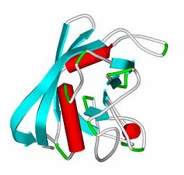 RTG (monokrystalov( monokrystalová) ) strukturní analýza aplikace RTG strukturní analýza malých molekul ( do 1000 atomů v molekule) RTG