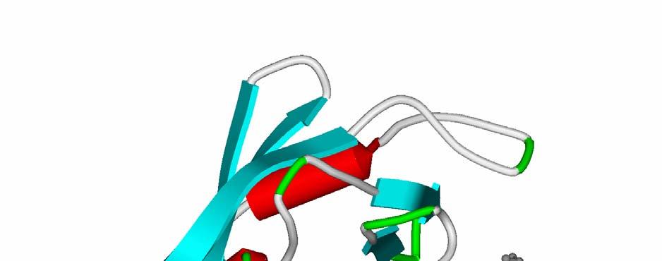 biochemickou reakci: komplex cyklosporin A /