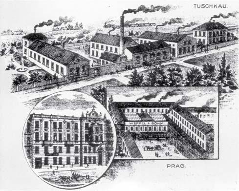 1890 Narozen 10. září v Praze jako syn Rudolfa Werfela a Albiny Werfelové, roz. Kussiové. 1896 Začátek školní docházky do soukromé školy k piaristům. 1900 Přijat na c. k. německé gymnázium na Novém Městě pražském.