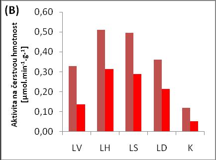 Obr. 17: Vliv L-malátu ( ) na aktivitu PEPC v různých částech rostlin tabáku pěstovaných bez sacharosy ( )(A) a se sacharosou ( )(B) v kultivačním médiu a přítomností PEP v subsaturační koncentraci