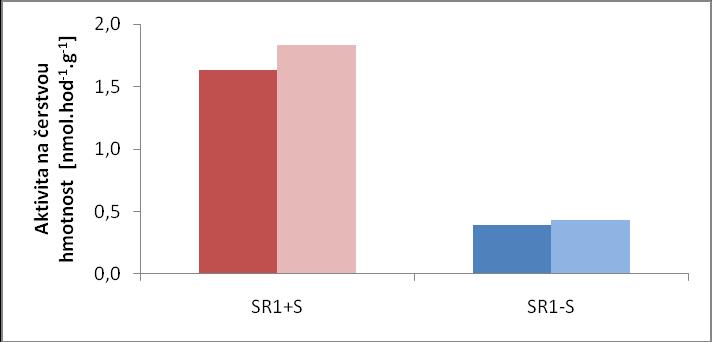 1. 2. 3. 4. 5. 6. Obr. 22: Detekce aktivity nitrátreduktasy po nativní elektroforetické separaci proteinů v 6 % polyakrylamidovém gelu.