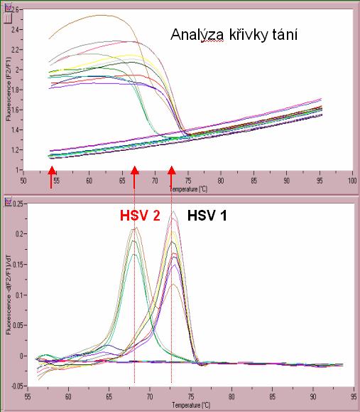 3.3. Identifikace produktů PCR analýzou křivky tání Metoda využívá skutečnosti, že každá molekula DNA má charakteristickou teplotu tání (T m ) pomocí níž je identifikována.