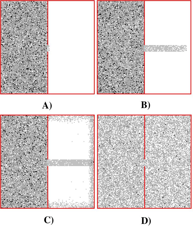 Obrázek 6.1: A) T=2; B) T=20; C) T=50; D) T=100; 6.2 Simulace vyrovnání energetického potenciálu FHP pravidla Na obrázku 6.