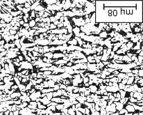 a) patní část původního odlitku b) oblast v polovině délky Obr. 7 : Mikrostruktura vývalku z nízkouhlíkové oceli (přímé válcování) 3.