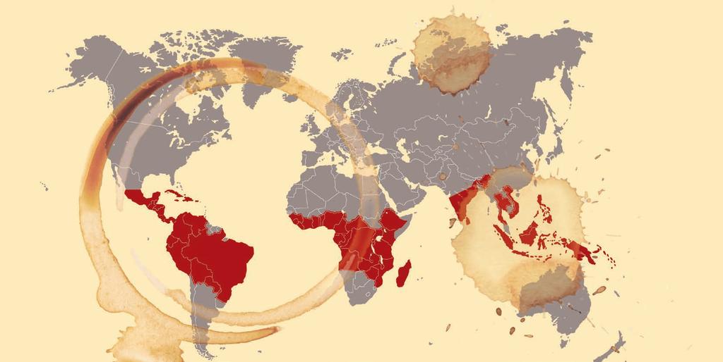 MALÁ EXKURZE KE ZDROJI KÁVY Kávovník, rostlina produkující kávová zrna, pochází původem z Afriky. Nejdéle známá je divoce rostoucí odrůda Arabica. Pochází z Etiopie a náhorní plošiny Boma v Súdánu.