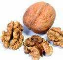 Selén Mangan Bioflavonoidy Mořští živočichové, maso, obilná vláknina ořechy, ovoce a zelenina, obilné cereálie veškeré citrusové plody, zvláště dřeň a dužina 200 ug