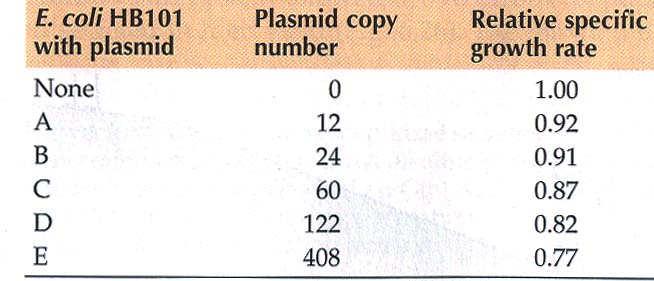 Důsledky vyplývající z přítomnosti rekombinantního plazmidu v buňkách 1. Snížení růstové rychlosti buněk 2.