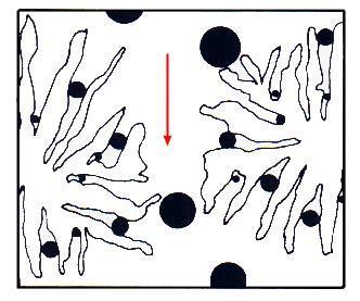 Gelově permeační chromatografie GPC princip molekuly separovány podle velikosti - jsou