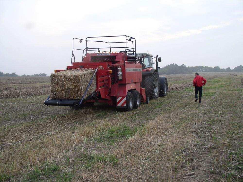 Obsah Důvody, definice Formy