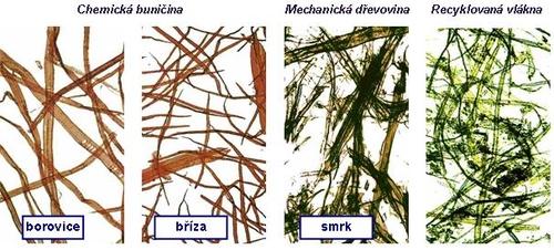 Organické stavební látky C, H 2, O 2, N 2, S, Přímo produkty