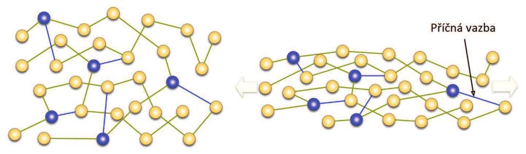 2 VLASTNOSTI ELASTOMERŮ [1,6,9,11,19,27] Elastomery patří do skupiny polymerů.