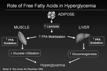 Hyperinzulinémie retence Na + ADRENERGNÍ