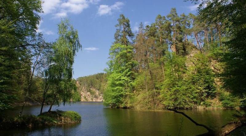 Obr. 32: Holoubek mimo období vegetačního klidu.