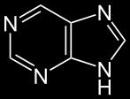 Struktura nukleové kyseliny Cukerná pentóza: 2-deoxy-D-ribóza D-ribóza Kyselina fosforečná: H 3 PO 4