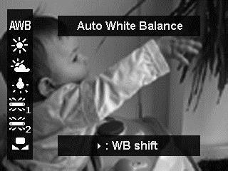 Vyvážení bílé Pro dosažení barevné věrnosti záběru nastavte pro každou situaci světelných podmínek patřičný režim: Automatické rozpoznání Denní světlo Zataženo Při světle žárovky Při světle zářivky